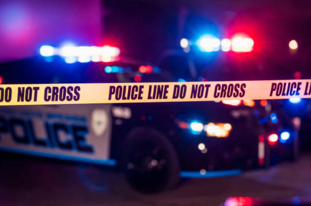 WEBINAR SERIES: Hope, Helping & Healing after Gun Violence (Part)